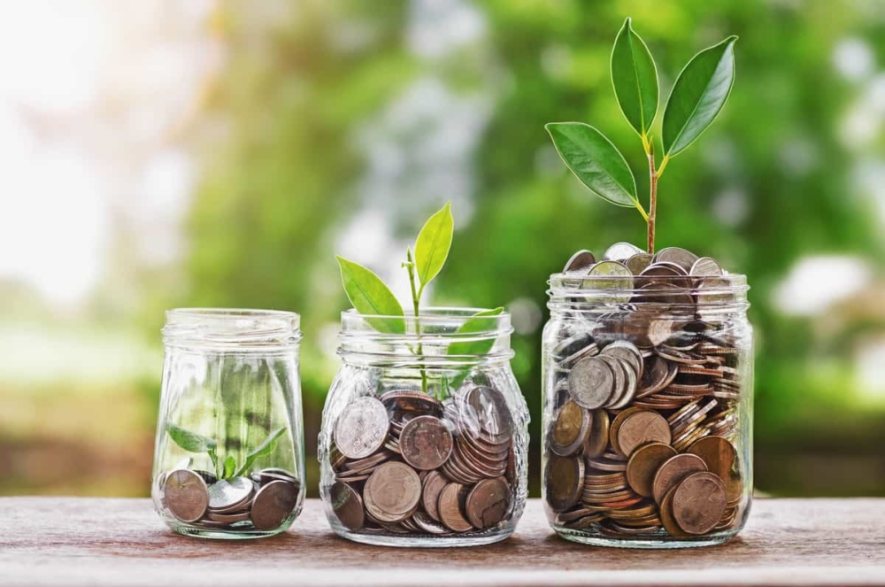 Plant growing Coins in glass  jar with investment financial concept and green nature sunlight